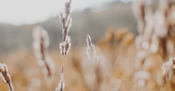 How Do I Talk to My Teen About Going to Therapy? A Parent’s Guide to Teen Therapy in the Durham Region