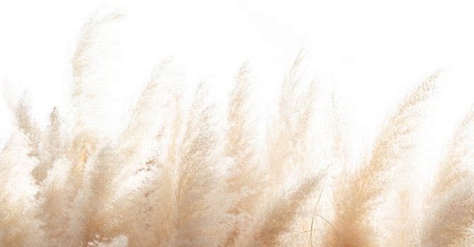 How Do I Talk to My Teen About Going to Therapy? A Parent’s Guide to Teen Therapy in the Durham Region image