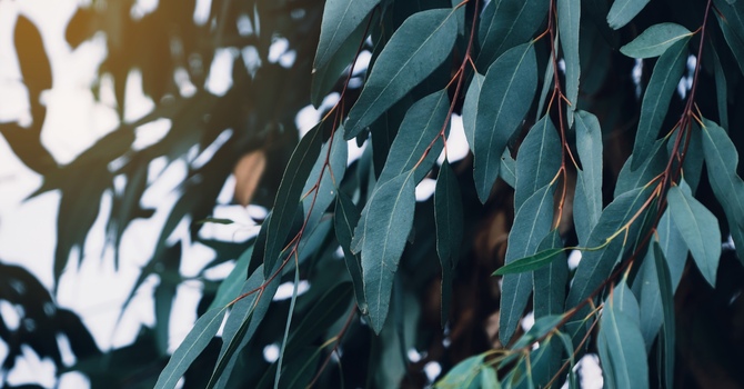 How Do I Talk to My Teen About Going to Therapy? A Parent’s Guide to Teen Therapy in the Durham Region