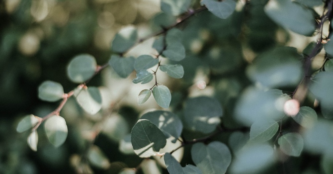 How Do I Talk to My Teen About Going to Therapy? A Parent’s Guide to Teen Therapy in the Durham Region